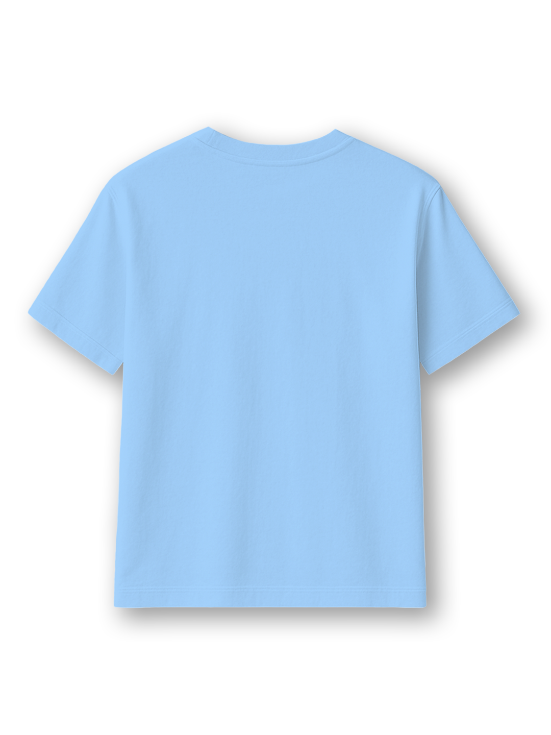 Baby Blue Regular Fit T-Shirt