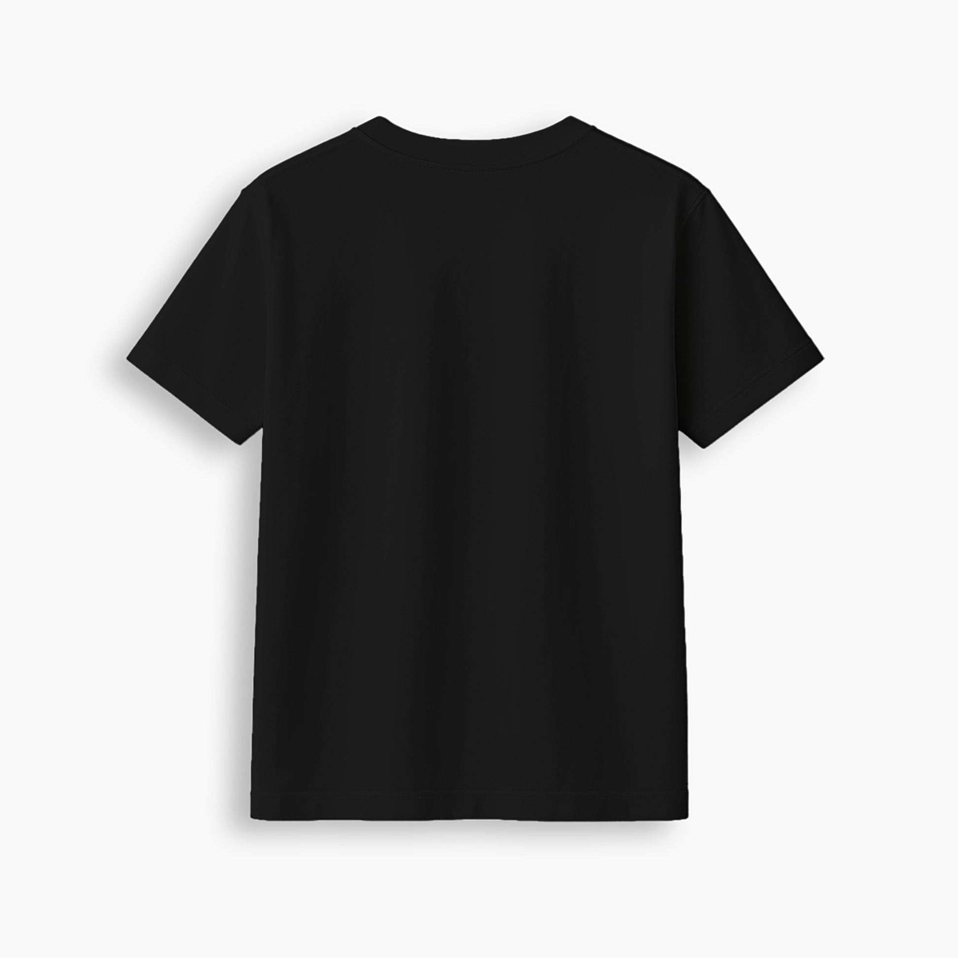 Black Regular Fit T-Shirt