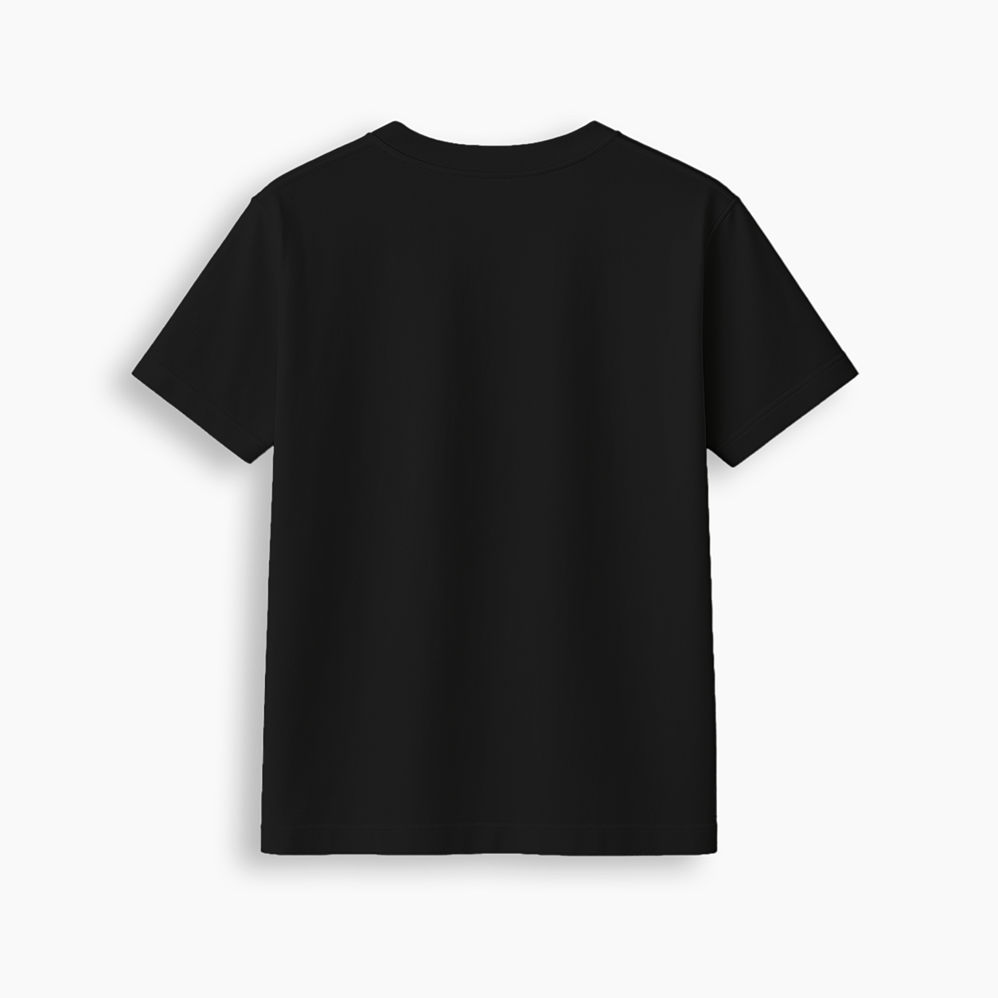 Black Regular Fit T-Shirt