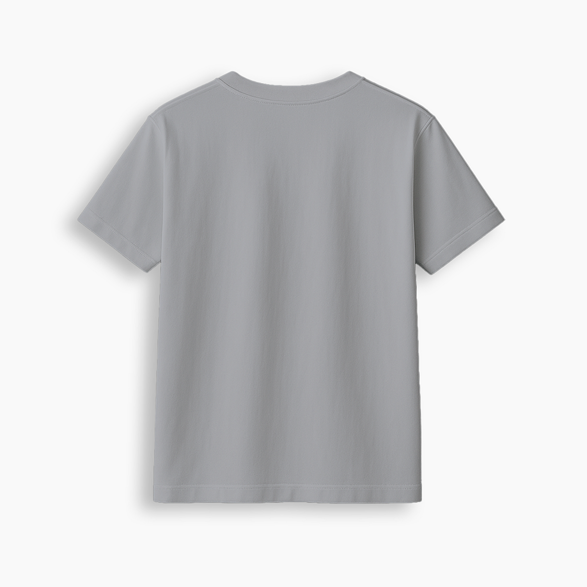Grey Regular Fit T-Shirt