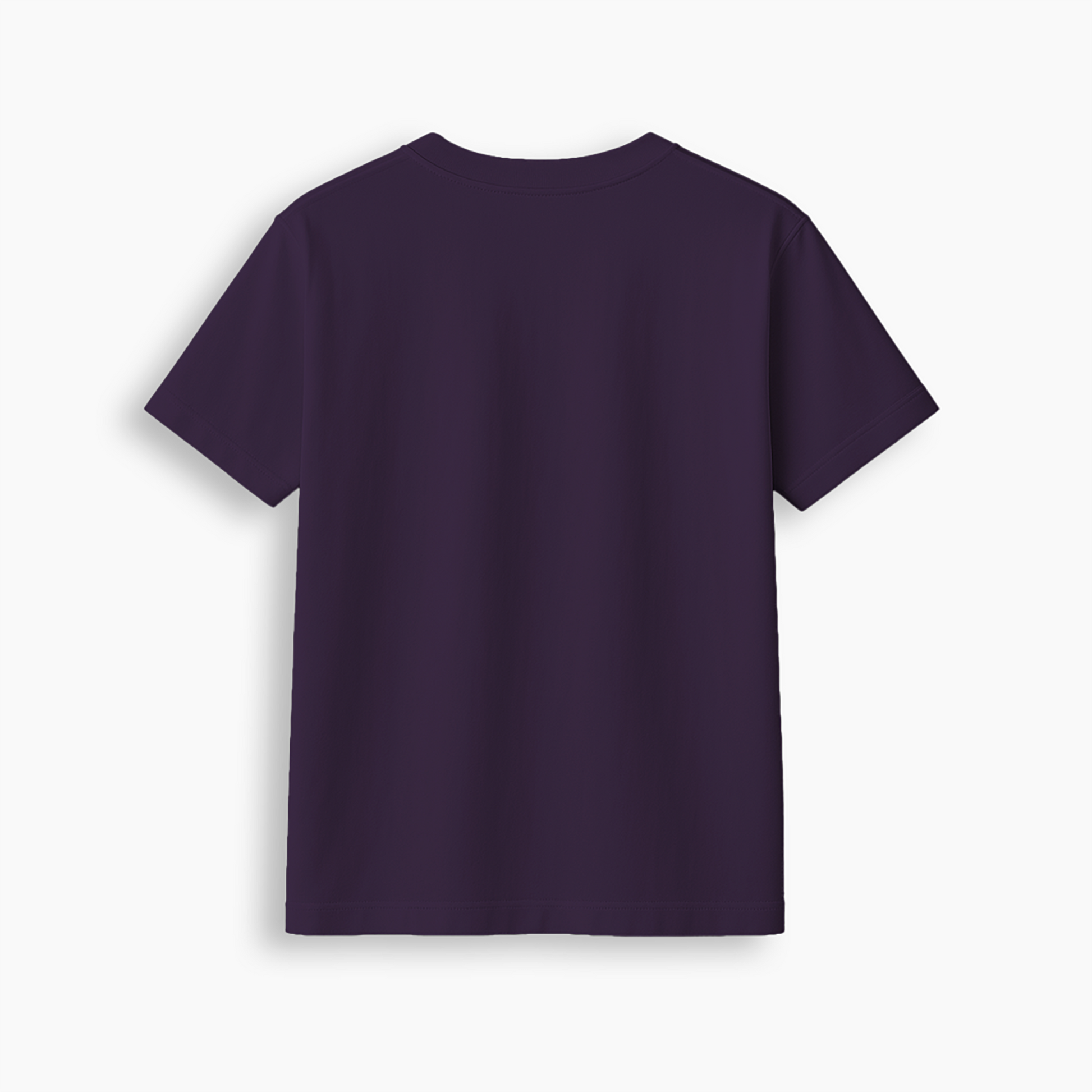 Purple Regular Fit T-Shirt